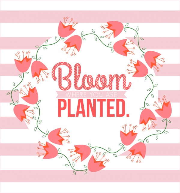 bloom where you are planted