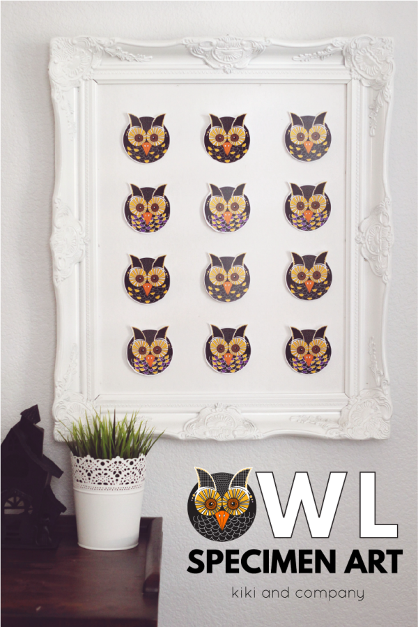 Owl Specimen Art from kiki and company